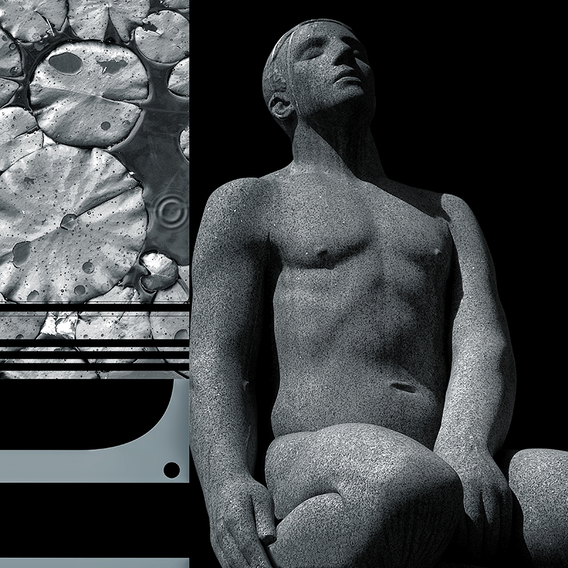 collage, human figures, water lillies, letterforms