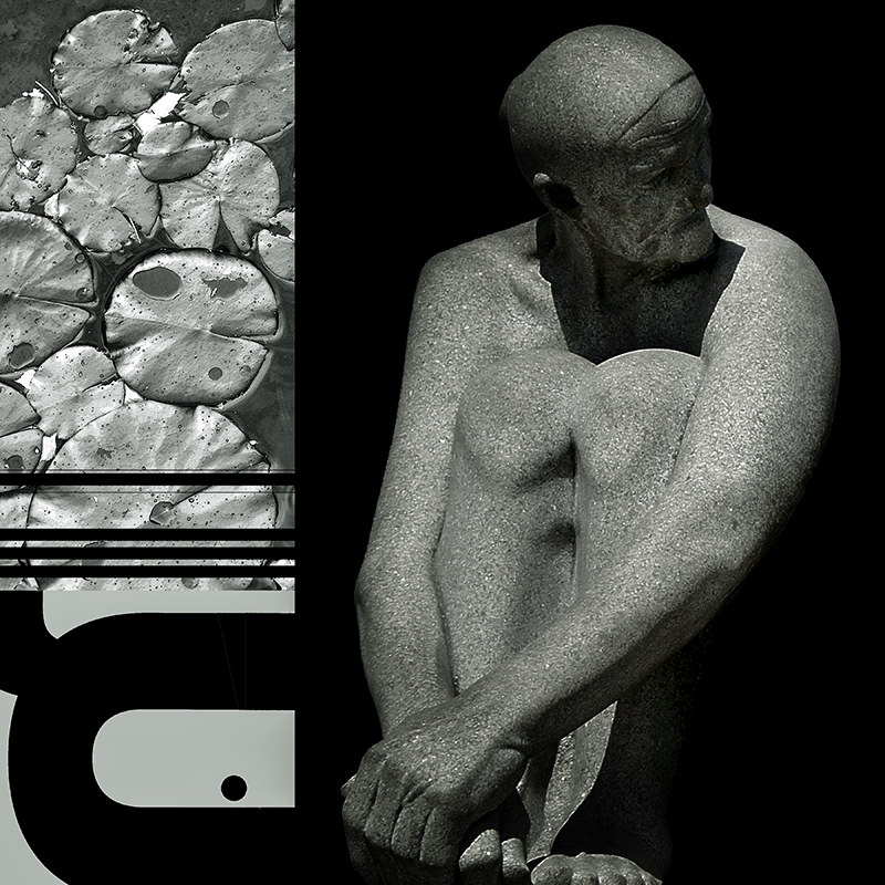 collage, human figures, water lillies, letterforms