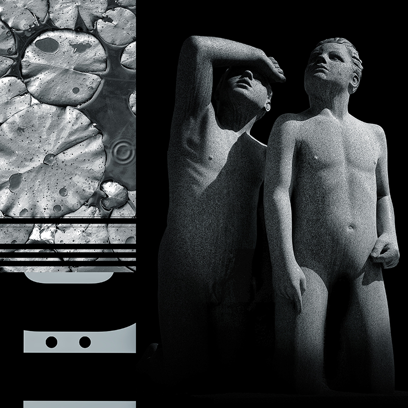 collage, human figures, water lillies, letterforms