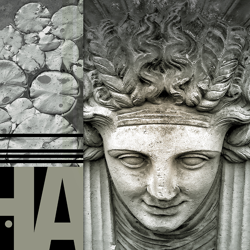 collage, water lillies, stone face, letter forms