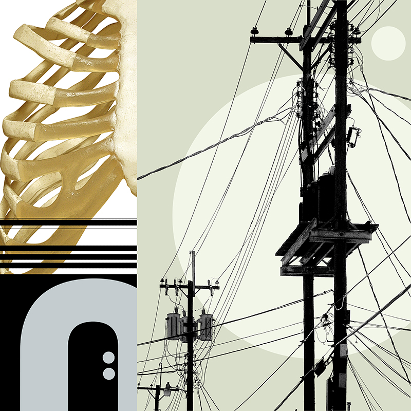 collage, rib cage, letter forms, and wires