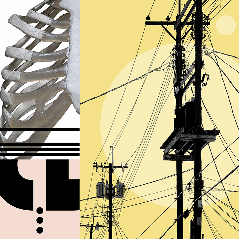 collage, rib cage, letter forms, and wires