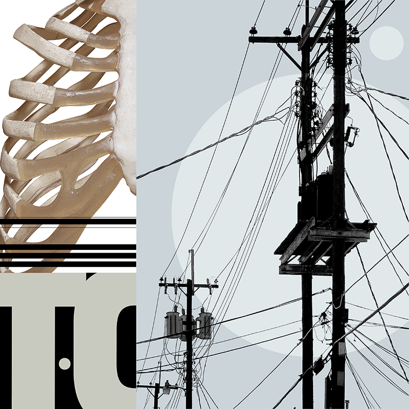 collage, rib cage, letter forms, and wires