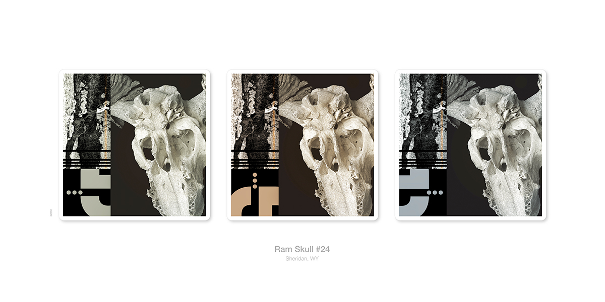 collage, ram skull #24 poster, Sheridan, Wyoming