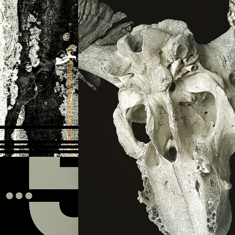 collage, ram skull, road tar streak, letter forms