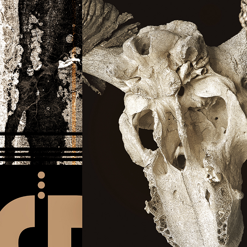 collage, ram skull, road tar streak, letter forms