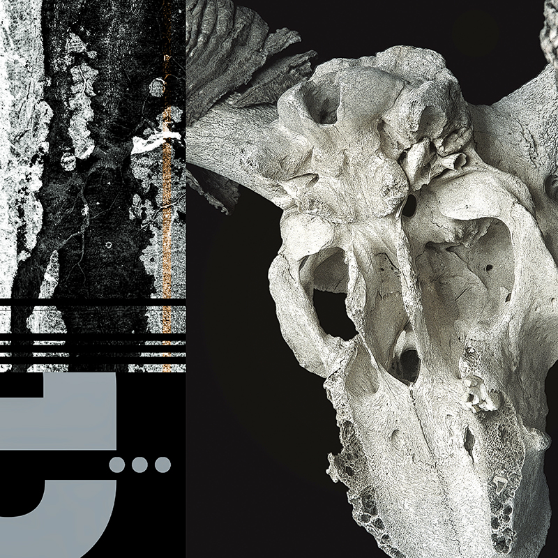 collage, ram skull, road tar streak, letter forms