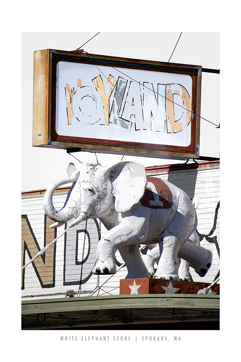 addy award best of show for white elephant toy store sign photograph