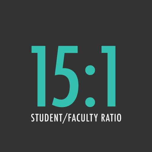 ratio of students to faculty card